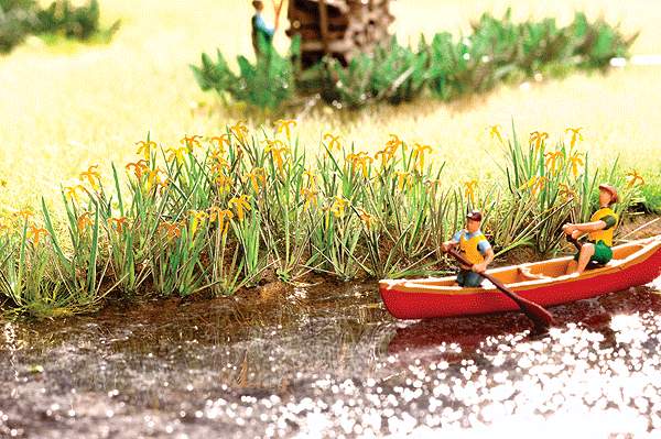 Water Lillies - Laser-Cut Minis(R) -- Makes 18 Plants