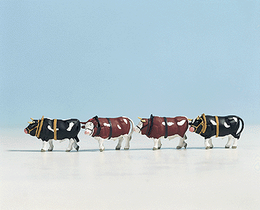 Animals -- Work Oxen