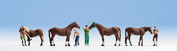 Caring for Horses -- 4 People & 4 Horses