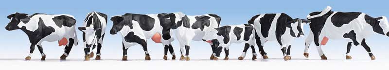 Cows pkg(7) -- Black & White