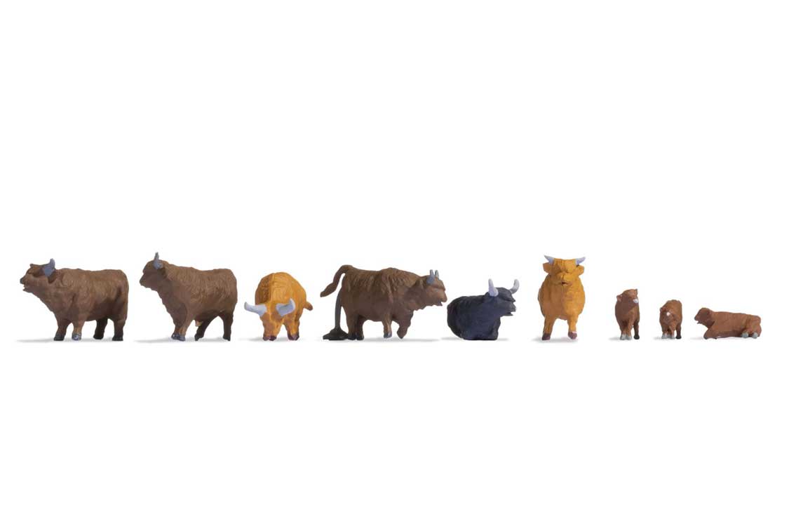 Highland Cattle -- pkg(9)