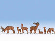 Deer -- pkg(7)-1