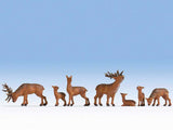 Deer -- pkg(7)-1
