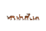 Deer -- pkg(7)-2