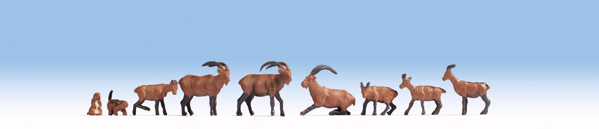 Alpine Animals -- pkg(12)