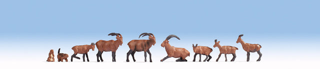Alpine Animals -- pkg(12)