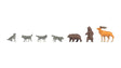 Bears and Wolves -- 4 Wolves, 2 Bears, Elk