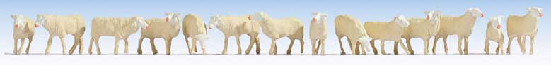 Sheep pkg(14)