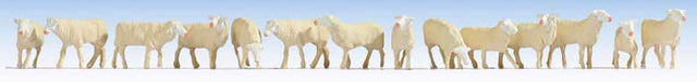 Sheep pkg(14)