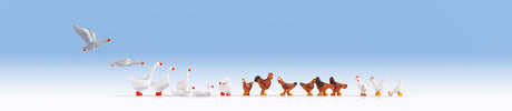 Chickens & Geese -- 6 Chickens & 11 geese
