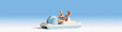 Pedal Boat