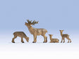 Deer -- Buck, Doe, 2 Fawns