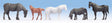 Horses -- pkg(5)
