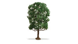 Chestnut Tree - Master -- 7-1/2"  19cm Tall-2