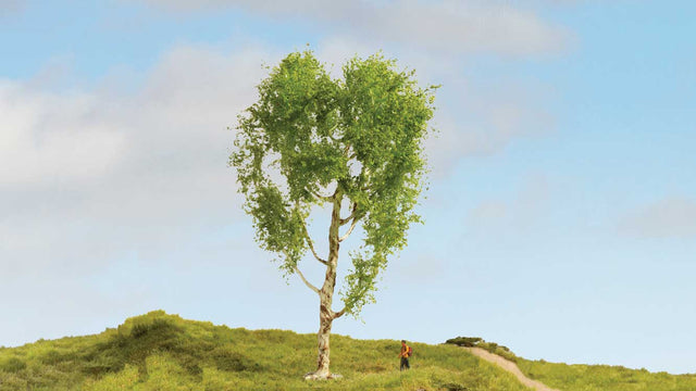 Downy Birch Tree - Master -- 8-1/4"  21cm Tall-1