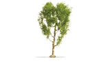 Downy Birch Tree - Master -- 8-1/4"  21cm Tall-2