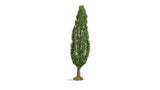 Poplar Tree - Master -- 7-1/16"  18cm Tall-1