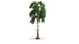 Pine Tree - Master -- 7-1/16"  18cm Tall-1