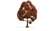 Copper Beech Tree - Master -- 5-7/8"  15cm Tall-1