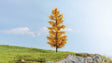 Autumn Larch Tree -- 6-11/16"  17cm Tall