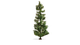 Spruce Tree - Master -- 7-1/2"  19cm Tall-1