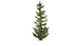 Spruce Tree - Master -- 8-11/16"  22cm Tall-2