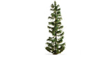 Spruce Tree - Master -- 9-7/8"  25cm Tall-1