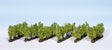 Vines -- 5/8"  1.6cm pkg(24)