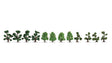 Ornamental Bushes -- 12 Pieces, 1-7/16 - 1-15/16"  4cm - 5cm-1