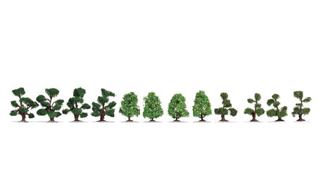Ornamental Bushes -- 12 Pieces, 1-7/16 - 1-15/16"  4cm - 5cm-1