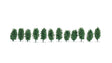 Thuja Hedge -- 1-3/16"  3cm Tall-1