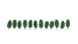 Thuja Hedge -- 1-3/16"  3cm Tall-1