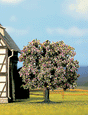 Fruit Tree 3"-Blooming