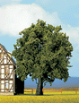 Oak Tree -- 6-1/4"  15.9cm