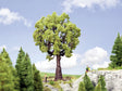 Oak Tree -- 7-1/2"  19cm Tall