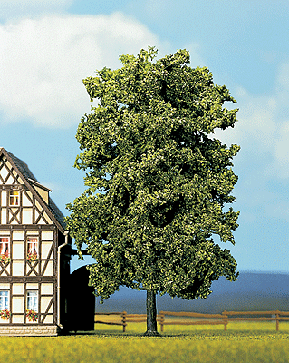 Lime Tree -- 7-1/4"