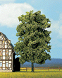Lime Tree -- 7-1/4"