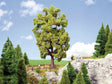 Lime Tree -- 7-1/4"  18.5cm Tall
