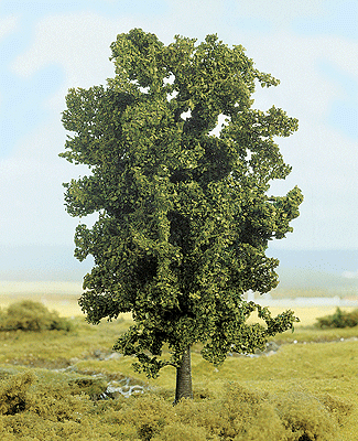 Ash -- 7-1/2"