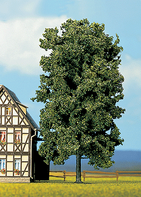 Chestnut Tree -- 7-3/4"