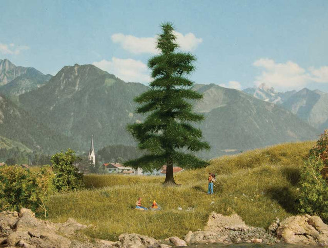 Caucasian Fir Tree -- 5-11/16"  14.5cm