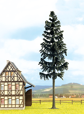 Conifers -- Fir 8-3/4"