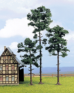 Trees -- Black Pine - 25 cm