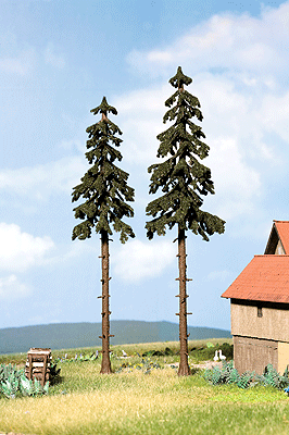 Trees -- High Trunk Spruce - 18.5cm-1