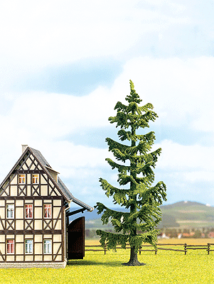 Pine Trees -- Spruce 24cm