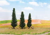 Cypress Trees -- 1 Each: 3-3/8, 4-5/16 & 5-1/8"  10, 11 & 13cm Tall pkg(3)-1
