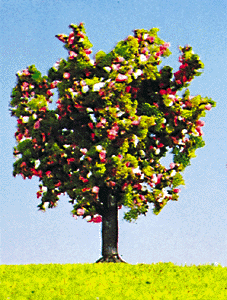 Fruit Tree -- Blossoming 3"