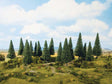 Fir Trees -- 1-9/16 to 3-15/16"  4- to 10cm Tall pkg(16)