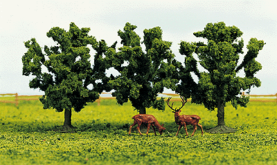 Trees -- Fruit Trees