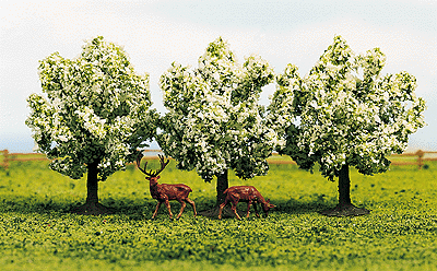Trees -- Fruit Trees w/White Flowers